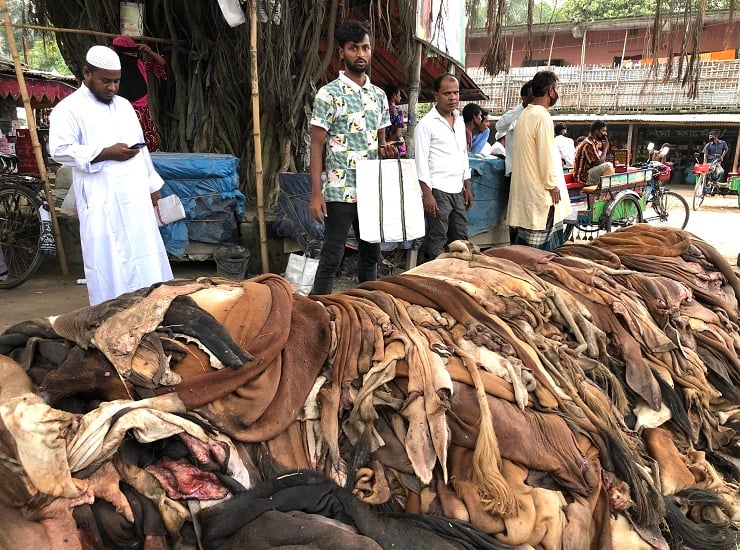 নামমাত্র মূল্যে কোরবানির পশুর চামড়া বিক্রি