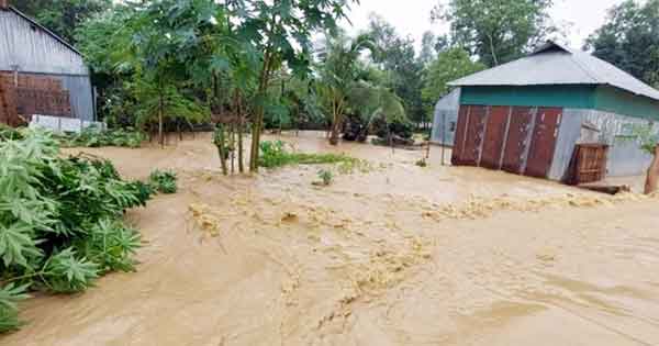 শেরপুরে পাহাড়ি ঢল আর বৃষ্টিতে শতাধিক গ্রাম প্লাবিত