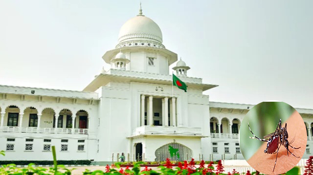 ডেঙ্গু নিয়ন্ত্রণে কার্যকর পদক্ষেপ গ্রহণের নির্দেশ হাইকোর্টের