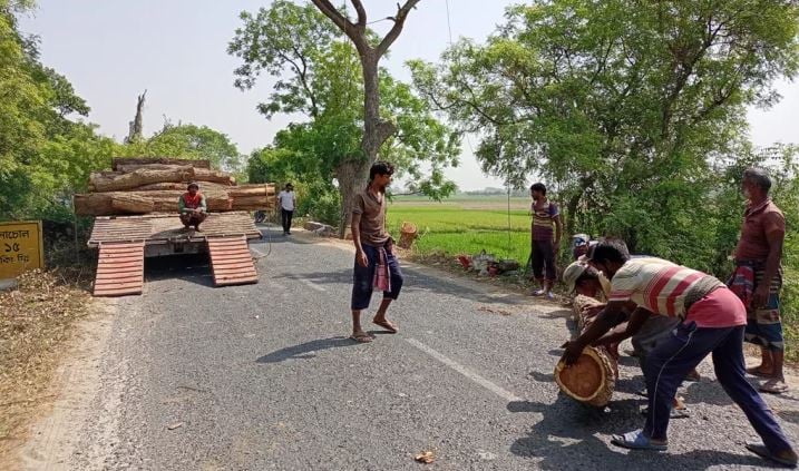 গাছ কাটা-লাগানো নিয়ে হাইকোর্টের রুল